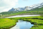 HAKKARİ – ŞIRNAK – BİTLİS – MUŞ   