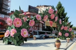 LAVANTA FESTİVALİ